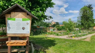 A wooden box with information stands in a garden with a sunny sky. Trees, plants, and flowers surround the area. In the distance, houses and a tower are visible.
