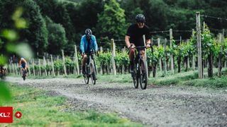 Two cyclists ride on a gravel path through a vineyard, wearing helmets and cycling clothes.