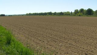 An expansive, plowed field under a clear sky, with a small patch of green grass on the left. In the distance, trees line the horizon.