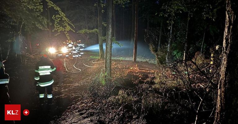 Firefighters in protective gear are extinguishing a forest fire at night with water from a hose. A vehicle with its headlights on is nearby.