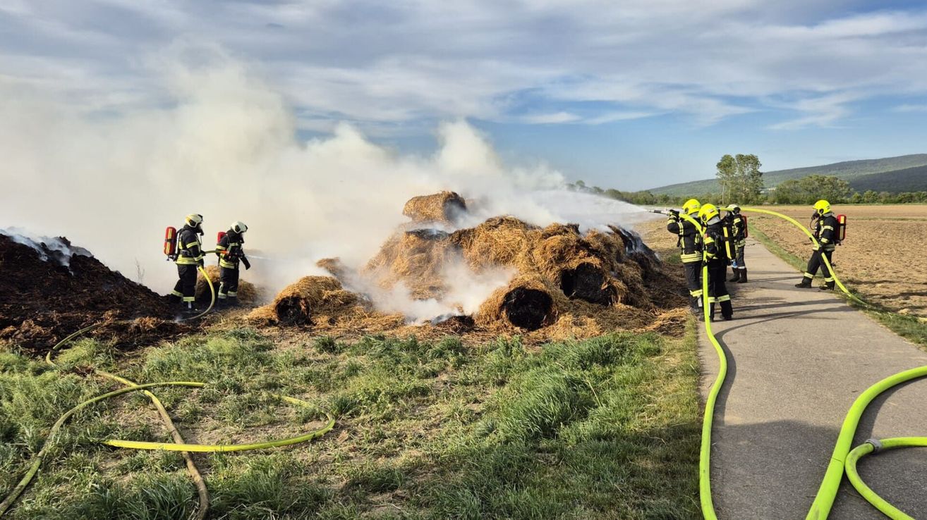 Feuerwehrleute löschen mit Schläuchen ein Feuer in einem Heuhaufen auf einem Rasen unter einem bewölkten Himmel.