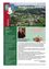 Amtliche Mitteilung der Marktgemeinde Bromberg. Es zeigt eine Stadtlandschaft, einen Mann und ein Blumendesign. Der Text stellt die Marktgemeinde, ihren Bürgermeister und Mitarbeiter vor und lädt die Bewohner zu einem Osterfest ein.