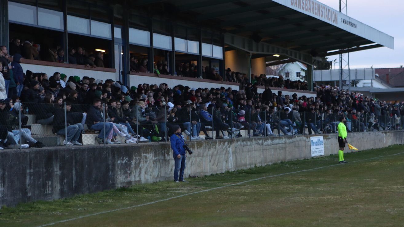 Ein Stadion voller Zuschauer. Eine Person mit Kamera steht am Zaun. Das Stadion hat Glaswände und Metallzäune.