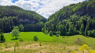 Ein ruhiges Tal mit üppigen grünen Feldern und dichtem Wald, Berge im Hintergrund unter einem teilweise bewölkten Himmel. Ein kleines Gebäude und einige Kühe sind sichtbar.