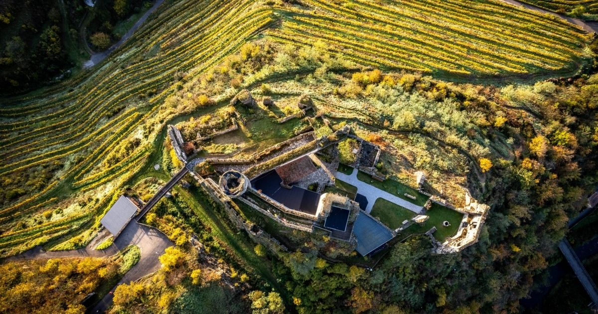 Eine Luftaufnahme einer historischen Burg mit einem Weinberg im Hintergrund, umgeben von üppigem Grün und Bäumen. Die Burg zeichnet sich durch Steinmauern und ein modernes Gebäude in der Mitte aus.