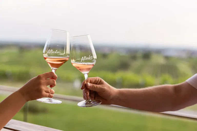 Zwei Hände halten Gläser mit Allacher Wein und stoßen gegen einen Hintergrund von Weinbergen und Hügeln unter einem bewölkten Himmel an.