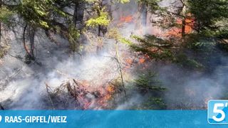 Eine Waldbrandszene mit brennenden Bäumen, Rauch und einigen verbrannten Teilen des Bodens. Der Brand breitet sich durch den Wald aus.