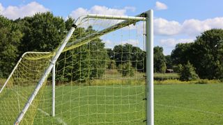 Ein Fußballtor mit weißem Rahmen und gelbem Netz steht auf einem grünen Feld mit Bäumen im Hintergrund.