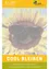 Eine Sonnenblume mit Sonnenbrille und einer Biene darauf. Das Wort cool bleiben steht unten.