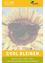 Eine Sonnenblume mit Sonnenbrille und einer Biene darauf. Das Wort cool bleiben steht unten.