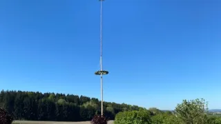 Ein hoher Pfahl mit einem kleinen Baum oben steht am Straßenrand, in der Nähe von geparkten Autos. Die Straße führt in ein Feld, das von Bäumen und Büschen umgeben ist.