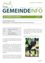 Gemeindeinfo-Flyer über einen Vortrag zur Bissprävention für Menschen mit und ohne Hund. Der Flyer gibt Datum, Uhrzeit und Ort des Vortrags an. Ein Bild eines Hundes ist abgebildet.