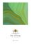 Ein abstraktes Design mit geschwungenen Grün- und Gelbtönen, möglicherweise als Darstellung der Natur. Darunter steht ein Logo, das 'fine art living AM THALERSEE' lautet.