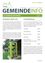 Das Bild zeigt ein Dokument mit dem Titel 'GEMEINDEINFO' mit Abschnitten über Vandalismus am Spielplatzkasten und Umweltförderung. Vandalismus hat erneut den Spielplatzkasten beeinträchtigt, die Gemeinde fordert die Meldung von Schäden. Die Gemeinde stellt kostenlose Materialien für die Nutzung am Spielplatz zur Verfügung, um Vandalismus zu verhindern. Investitionen in Solaranlagen, Photovoltaikanlagen, thermische Sanierungen und andere umweltfreundliche Initiativen werden detailliert aufgeführt.
