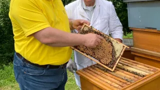 Two men in a garden. One holds a bee hive. The other holds a bee smoker.