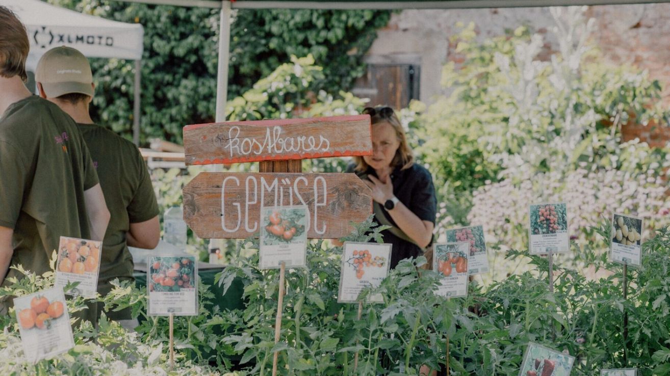 A wooden sign with the words 'Rosbares' and 'Gemüse' is placed above tomato plants. A woman with glasses on her head is standing in the garden.