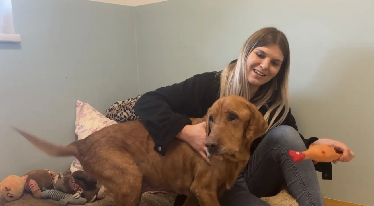 A woman is sitting on the floor with a brown dog in front of her, smiling. The dog is looking at her and seems to be waiting for a treat. Behind them, there is a corner of the room with a blue wall.