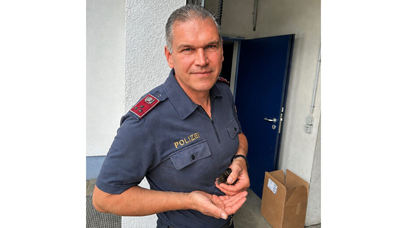 A police officer stands outside, holding a small object in his hands. He wears a blue uniform with the word 'Polizei' on the chest.