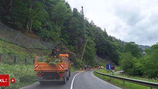 Ein Lkw mit Ästen fährt eine Bergstraße entlang, mit einem Kran an der Seite. Arbeiter in orangefarbenen Uniformen räumen in der Nähe eines Leitplankens Vegetation weg.