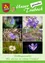 Eine Collage aus sechs Frühlingsblumen in verschiedenen Farben, die blaue Hyazinthen, lila Krokusse, weiße Gänseblümchen und leuchtend lila Blüten zeigt. Jedes Bild erfasst die Essenz des Frühlings mit üppigen Hintergründen.