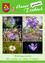 Eine Collage aus sechs Frühlingsblumen in verschiedenen Farben, die blaue Hyazinthen, lila Krokusse, weiße Gänseblümchen und leuchtend lila Blüten zeigt. Jedes Bild erfasst die Essenz des Frühlings mit üppigen Hintergründen.
