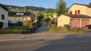 A peaceful residential street with houses and greenery. A driveway leads to a house with red shutters.