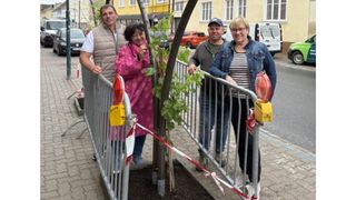 Four people stand around a newly planted tree with protective fencing. They are smiling and appear to be celebrating the planting.
