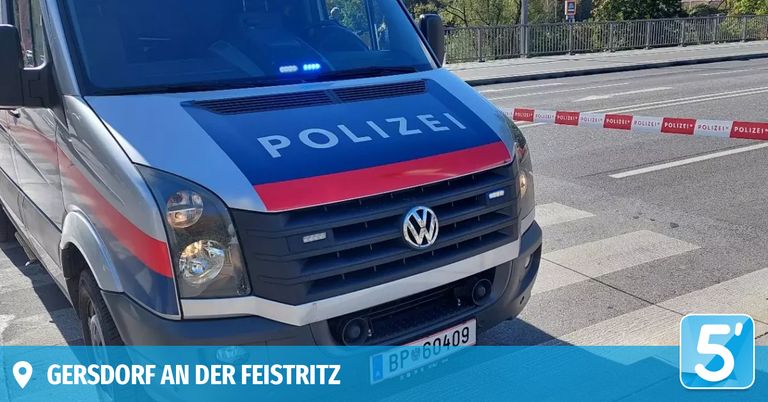 Ein Polizeiwagen mit dem Wort 'POLIZEI' auf der Front. Er hat ein Nummernschild mit der Aufschrift 'BP-GO409'. Der Wagen steht auf einer Straße geparkt.