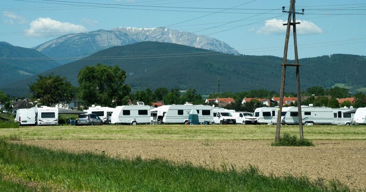 Mehrere weiße Wohnmobile sind auf einem Feld geparkt, mit Bergen im Hintergrund.