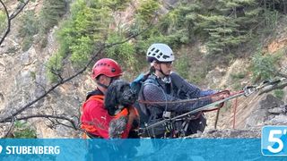 Zwei Kletterer mit Helmen, einer hält einen Hund, sind auf einem Berg mit einer steilen Steigung und Bäumen.