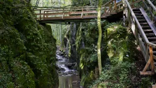 Eine Holzbrücke überspannt einen schmalen Bach in einem üppigen, grünen Wald. Moosbedeckte Felsen säumen den Bach.