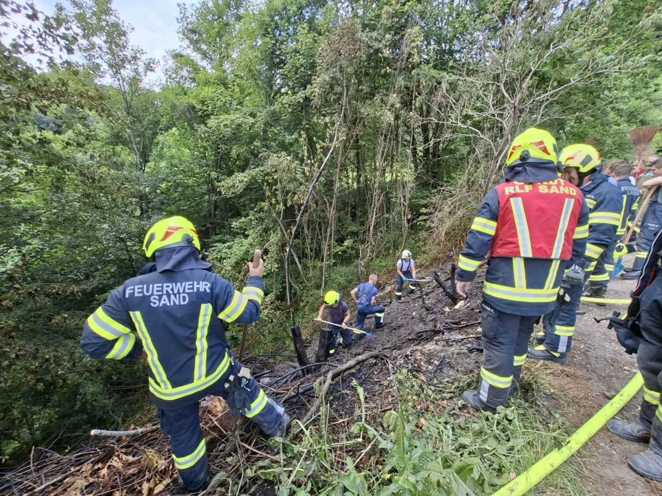 Eine Gruppe von Feuerwehrleuten in gelben und blauen Uniformen räumt Trümmer in einem Wald. Sie sind mit Helmen, Handschuhen ausgestattet und halten Werkzeuge. Eine Person steht auf einem Hang mit verstreuten Ästen.