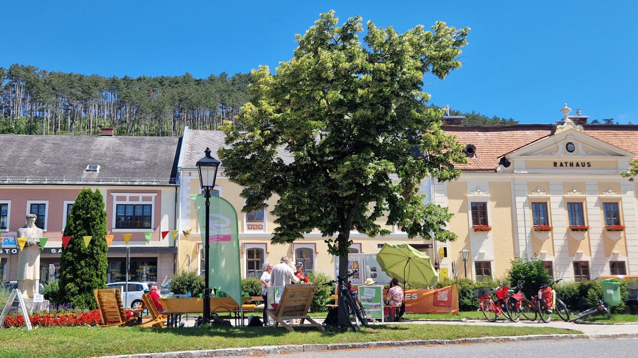 A sunny day with people enjoying a meal outside under a tree with a green banner, a streetlight, and a bicycle near a building.