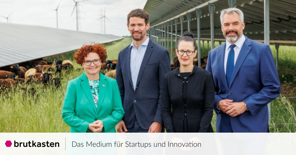 Vier Fachleute stehen in einem Feld mit Solarpanelen und Kühen dahinter, formal gekleidet. Sie lächeln und scheinen für ein Foto zu posieren.