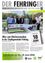 Ein Flyer für den Glasfaserausbau in Fehring. Der Banner zeigt Schnell. Stabil. Zukunfünfsicher. Fehring. Das Ereignis ist am 18. Juni.