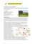 pdf-preview-image-6a1eb46ad68e78ef8c1ae049