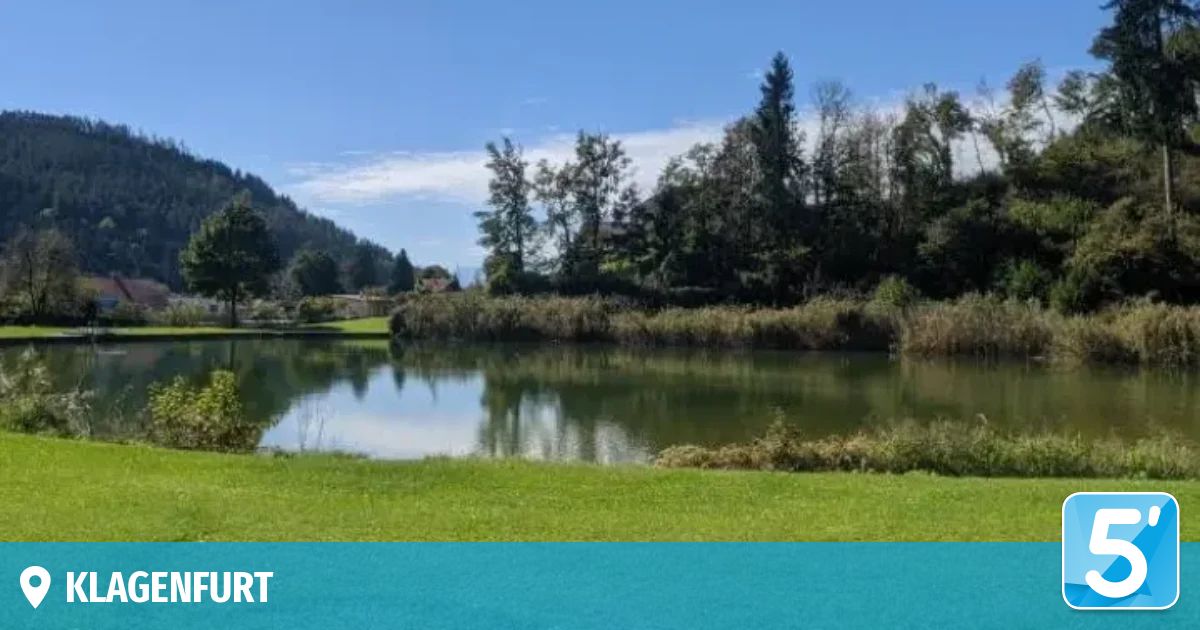 Ein ruhiger See, umgeben von saftigem grünem Gras und Bäumen unter einem blauen Himmel mit Wolken. Ein kleines Haus liegt in der Ferne.