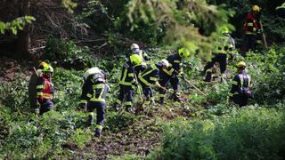 Eine Gruppe Feuerwehrleute in Schutzausrüstung räumt Pflanzen von einem steilen Ufer. Jeder ist mit einem Werkzeug ausgestattet, möglicherweise zum Entfernen oder Untersuchen.