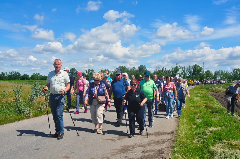 Eine Gruppe von Menschen geht auf einem Pfad in einem Grasfeld mit Bäumen und einem blauen Himmel mit Wolken. Sie benutzen Gehstöcke und tragen Hüte und Sonnenbrillen.