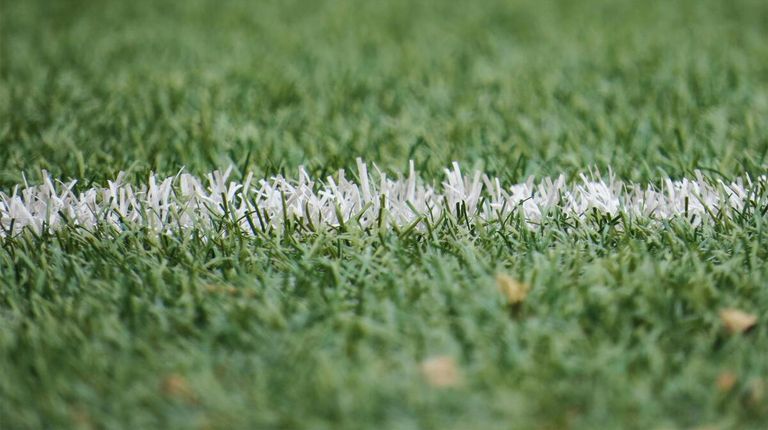 Ein Nahaufnahme eines Grasfeldes mit weißen Fasern, die darauf verstreut sind, möglicherweise von einer kürzlichen Mäharbeit.