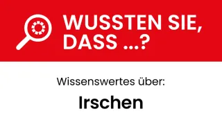 Ein roter Plakat stellt die Frage, ob man etwas weiß. Darunter steht 'Wissenswertes über: Irshen'.