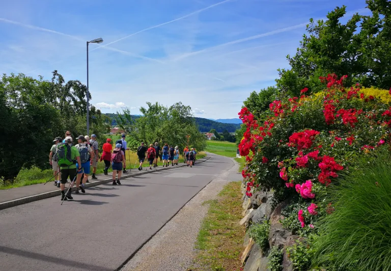 Eine Gruppe von Wanderern geht auf einem gepflasterten Weg mit blühenden Blumen und Grün an der Seite. Der Himmel ist klar.