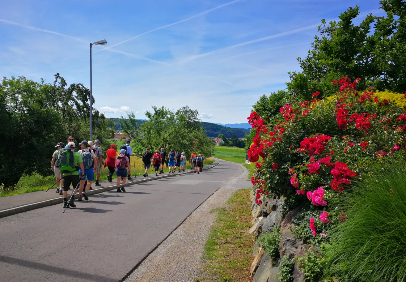 Eine Gruppe von Wanderern geht auf einem gepflasterten Weg mit blühenden Blumen und Grün an der Seite. Der Himmel ist klar.