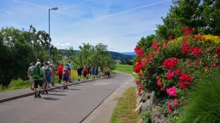 A group of hikers walks on a paved road with blooming flowers and greenery on the side. The sky is clear.