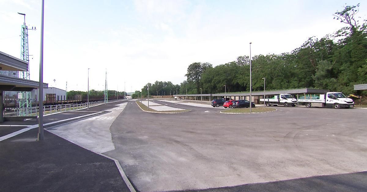 Ein leerer Parkplatz mit Autos auf der rechten Seite, Straßenlaternen und Bäumen im Hintergrund. Ein weißer Lastwagen ist vor den Bäumen geparkt.