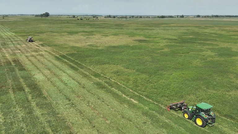 Eine Luftaufnahme eines großen, weitläufigen Feldes mit saftigem, grünem Gras. Im Vordergrund ist ein roter und gelber Traktor zu sehen, der auf dem Feld arbeitet.