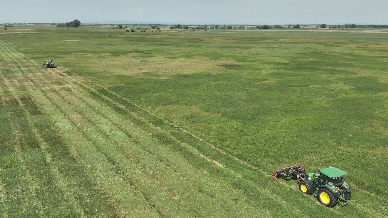 Eine Luftaufnahme eines großen, weitläufigen Feldes mit saftigem, grünem Gras. Im Vordergrund ist ein roter und gelber Traktor zu sehen, der auf dem Feld arbeitet.
