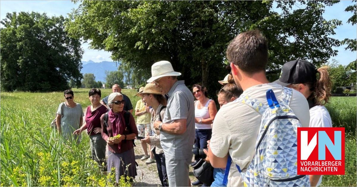 Eine Gruppe von Menschen auf einem Feld, die diskutieren, während eine Frau Blumen hält. Bäume und Berge im Hintergrund.