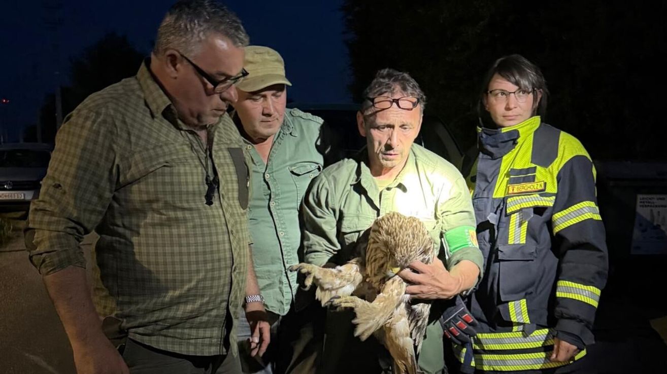 Vier Personen stehen nachts draußen. Ein Mann hält einen Vogel. Er trägt eine Brille und ein grünes Hemd. Die anderen tragen grüne und gelbe Uniformen.