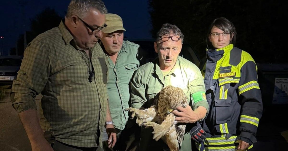 Vier Personen stehen bei Nacht draußen. Ein Mann in Grün hält einen Vogel, während ein Feuerwehrmann in der Nähe steht.